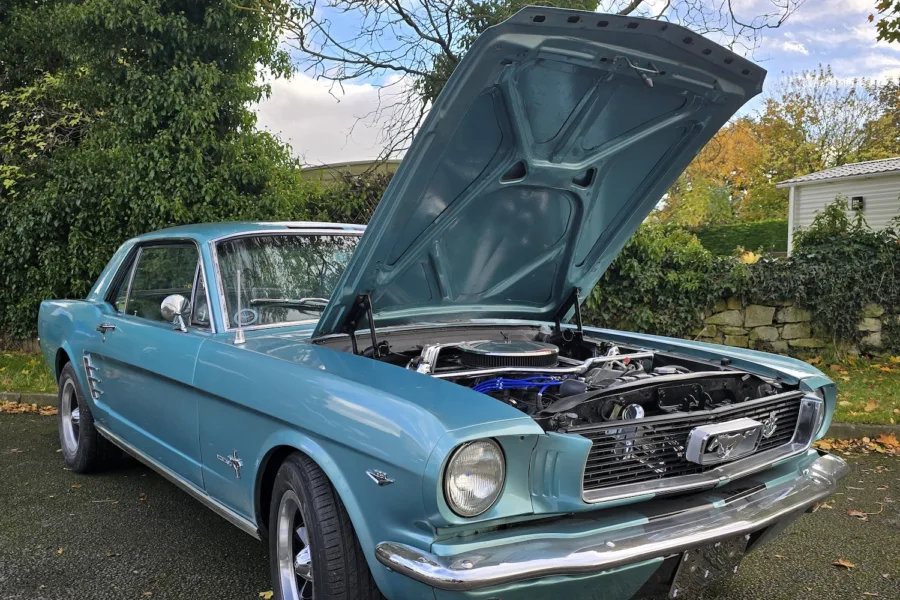 1966 Ford Mustang - 17th October 2024 - 33